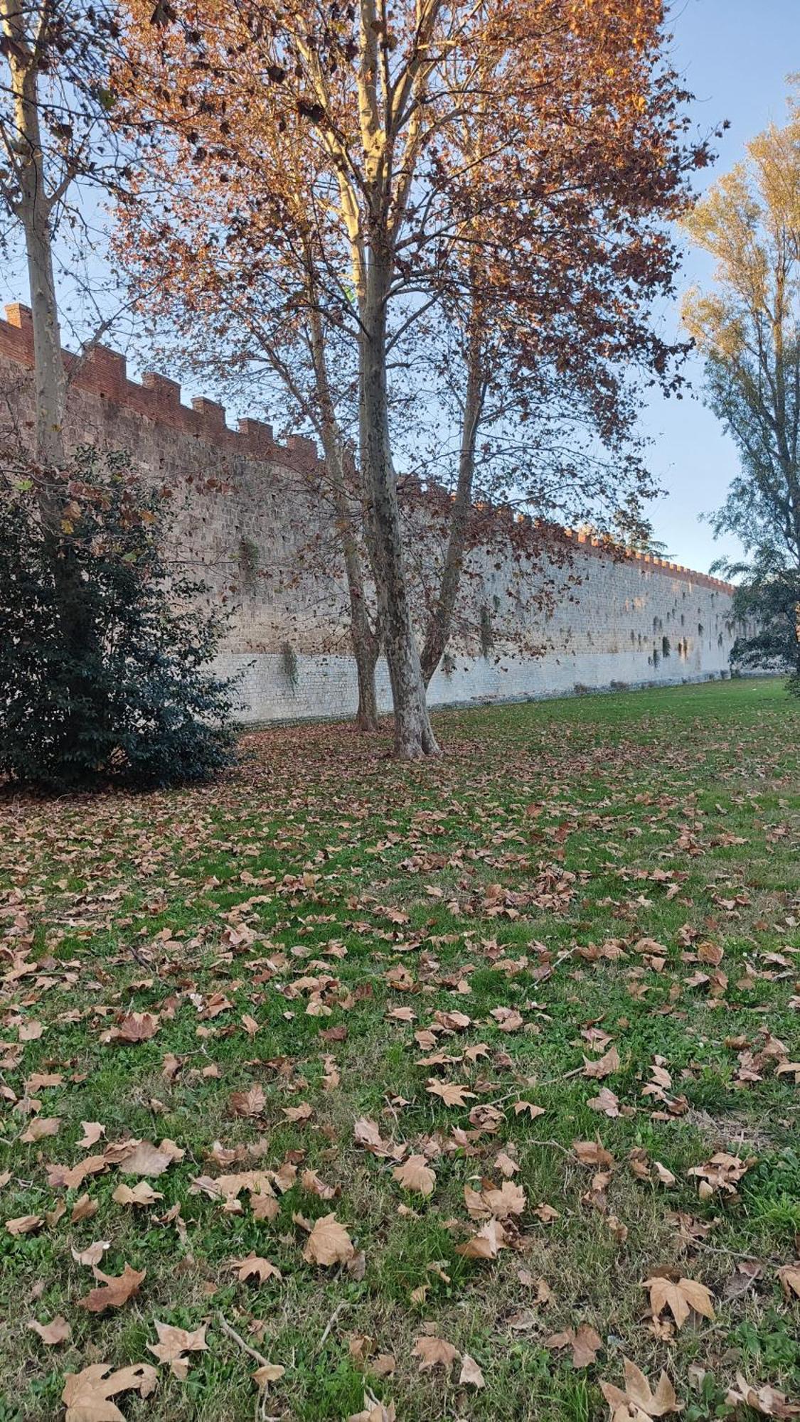 L'Angolo Di Galileo Піза Екстер'єр фото